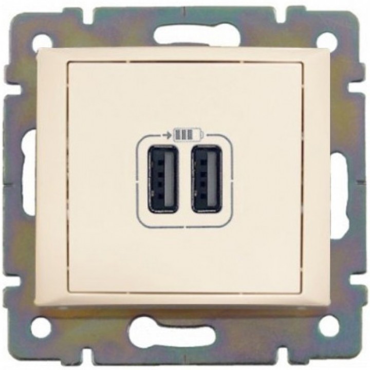 774170 Розетка USB для зарядки двойная, слоновая кость Legrand